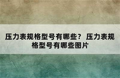 压力表规格型号有哪些？ 压力表规格型号有哪些图片